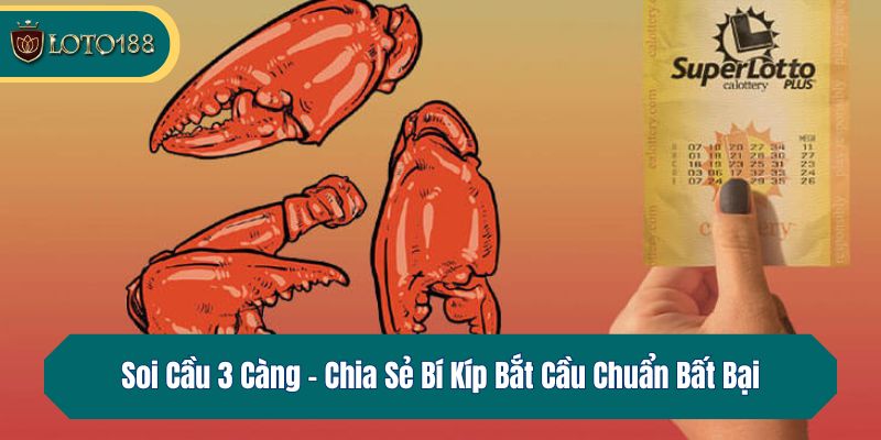 Soi Cầu 3 Càng – Chia Sẻ Bí Kíp Bắt Cầu Chuẩn Bất Bại